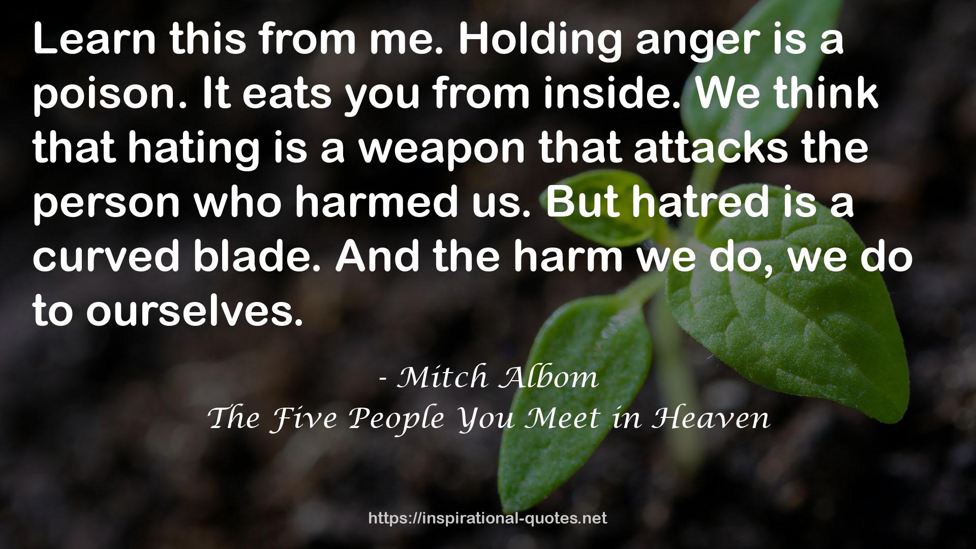 Holding anger  QUOTES