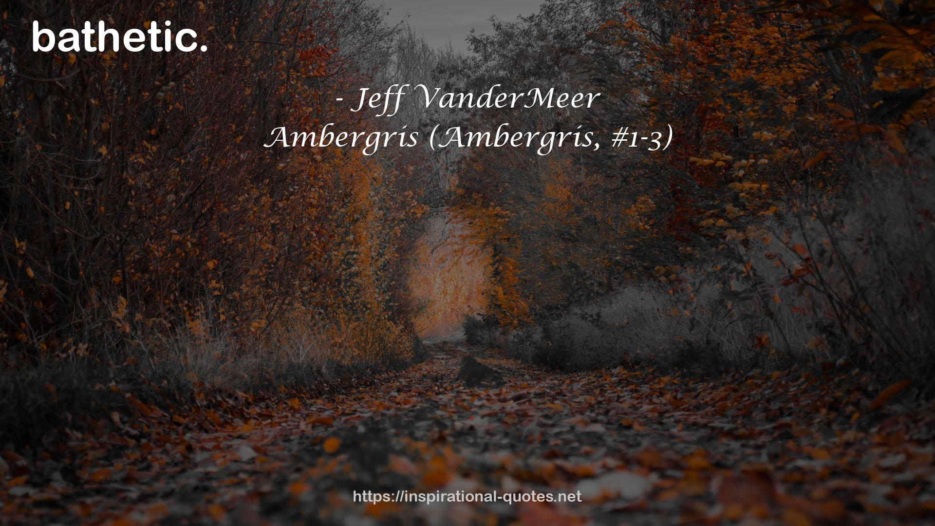 Ambergris (Ambergris, #1-3) QUOTES