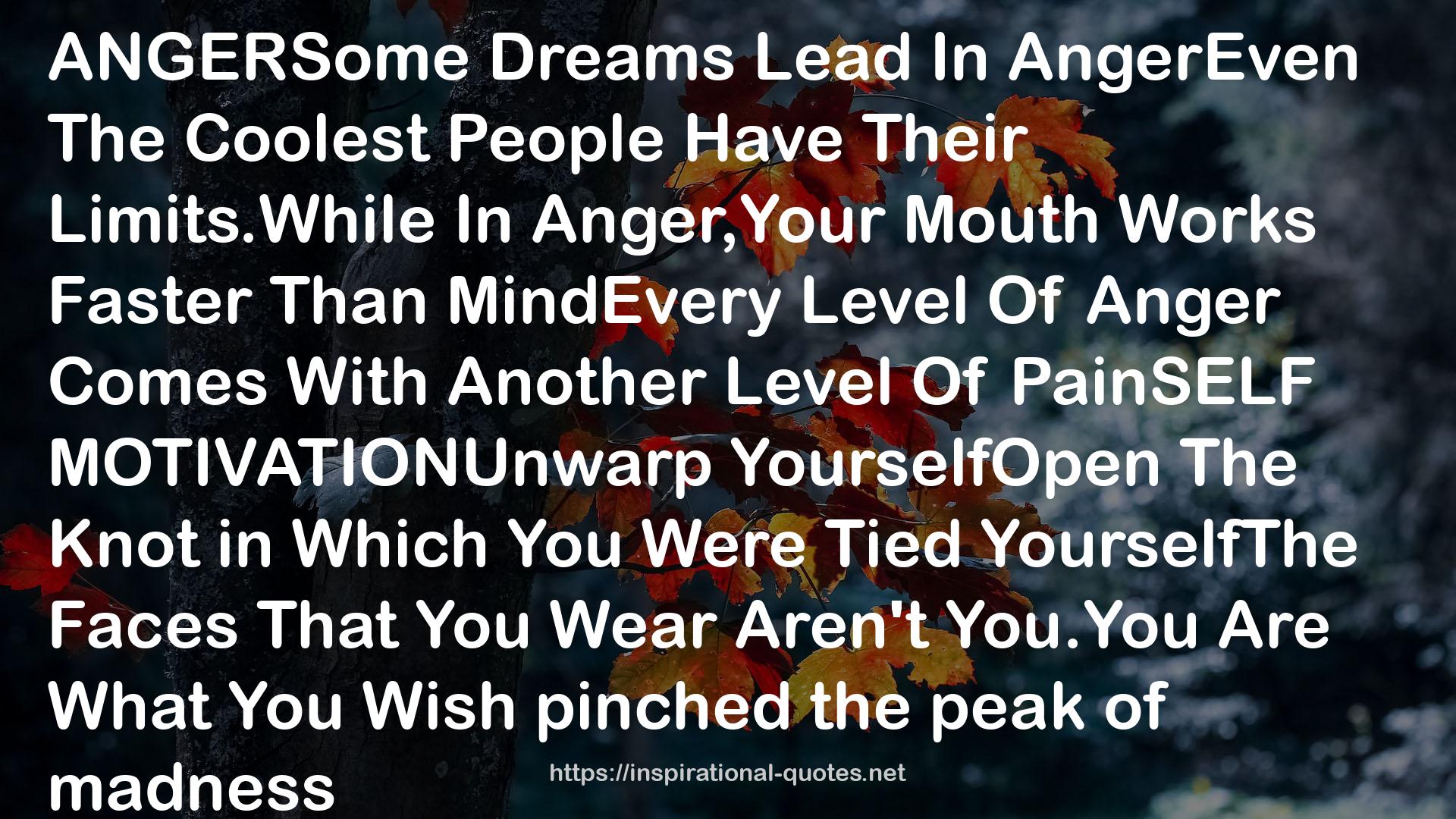 Dreams Lead  QUOTES