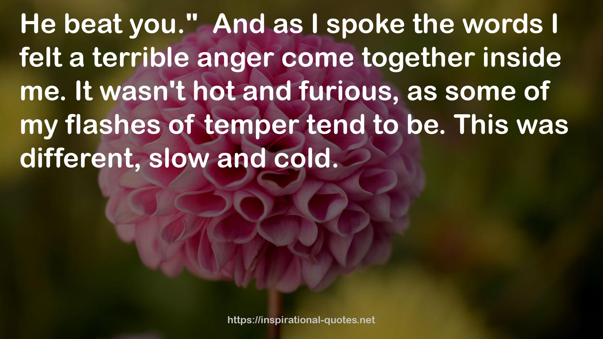 a terrible anger  QUOTES