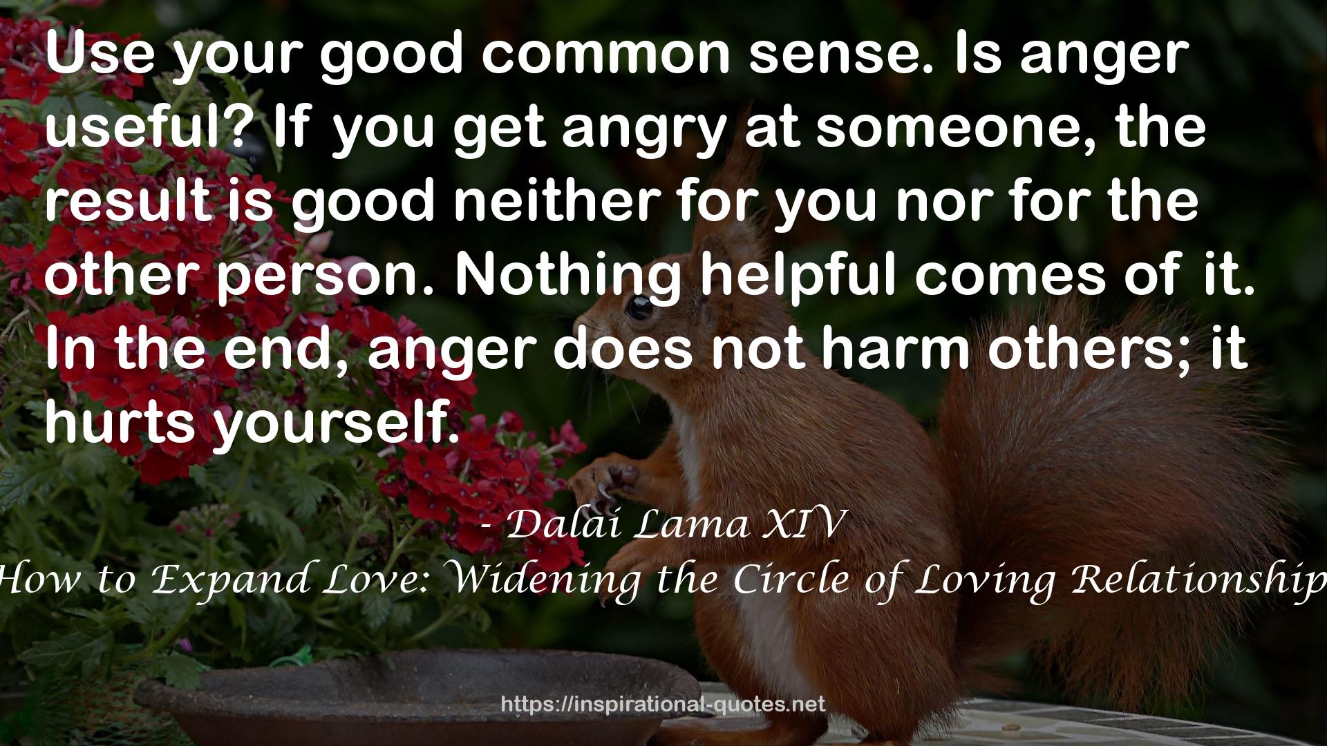 How to Expand Love: Widening the Circle of Loving Relationships QUOTES