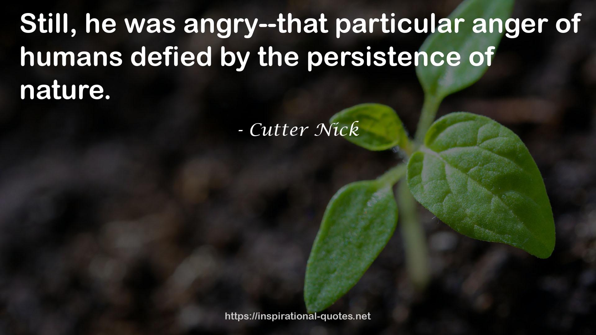 Cutter Nick QUOTES