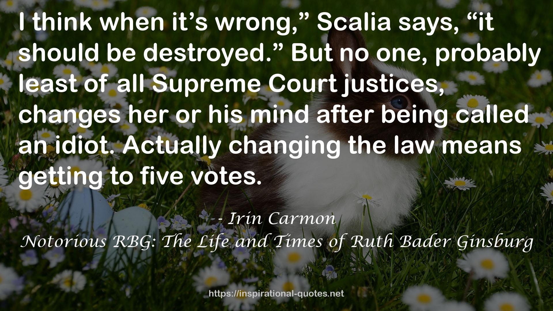 Notorious RBG: The Life and Times of Ruth Bader Ginsburg QUOTES