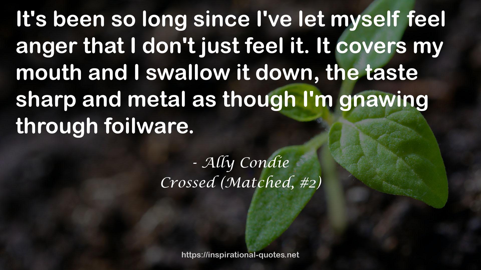 Ally Condie QUOTES