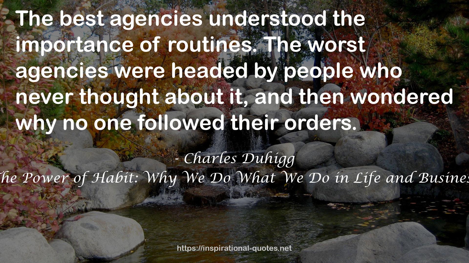 Charles Duhigg QUOTES