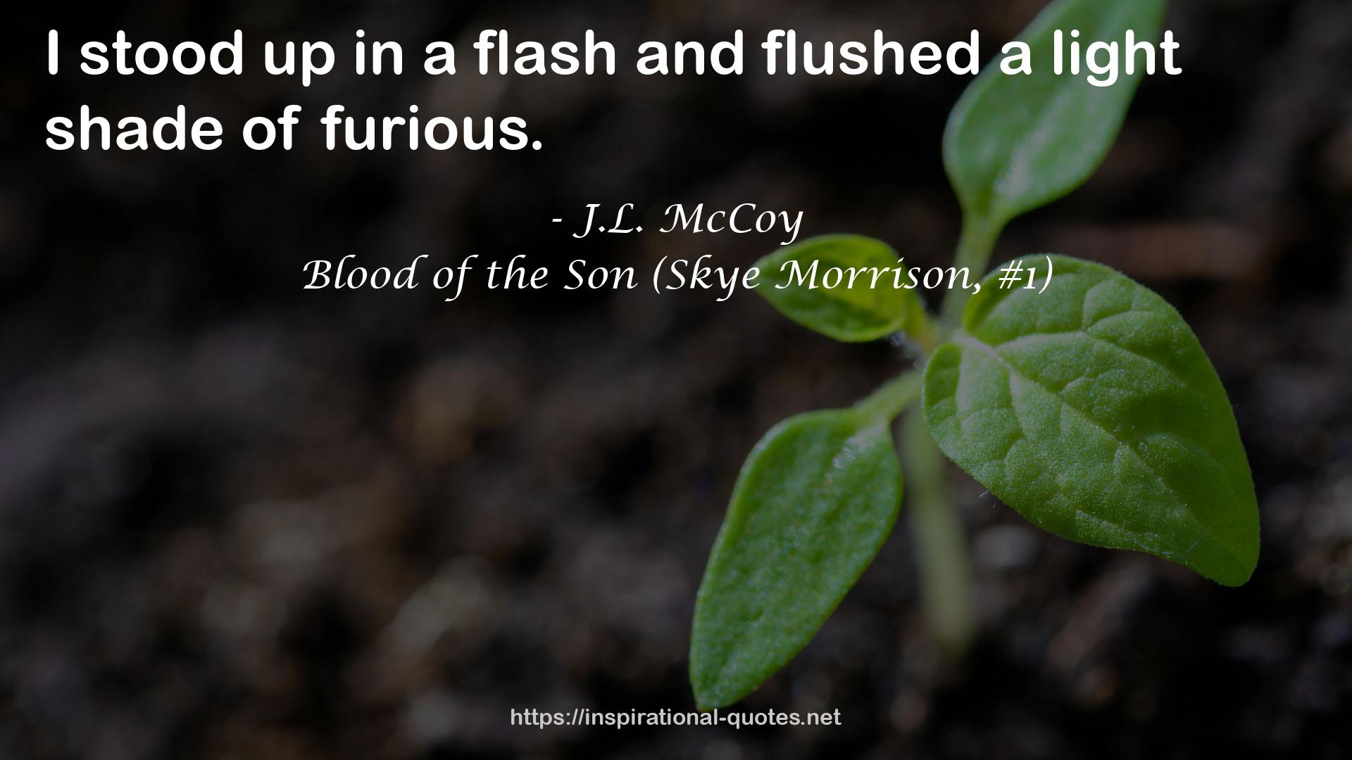 Blood of the Son (Skye Morrison, #1) QUOTES