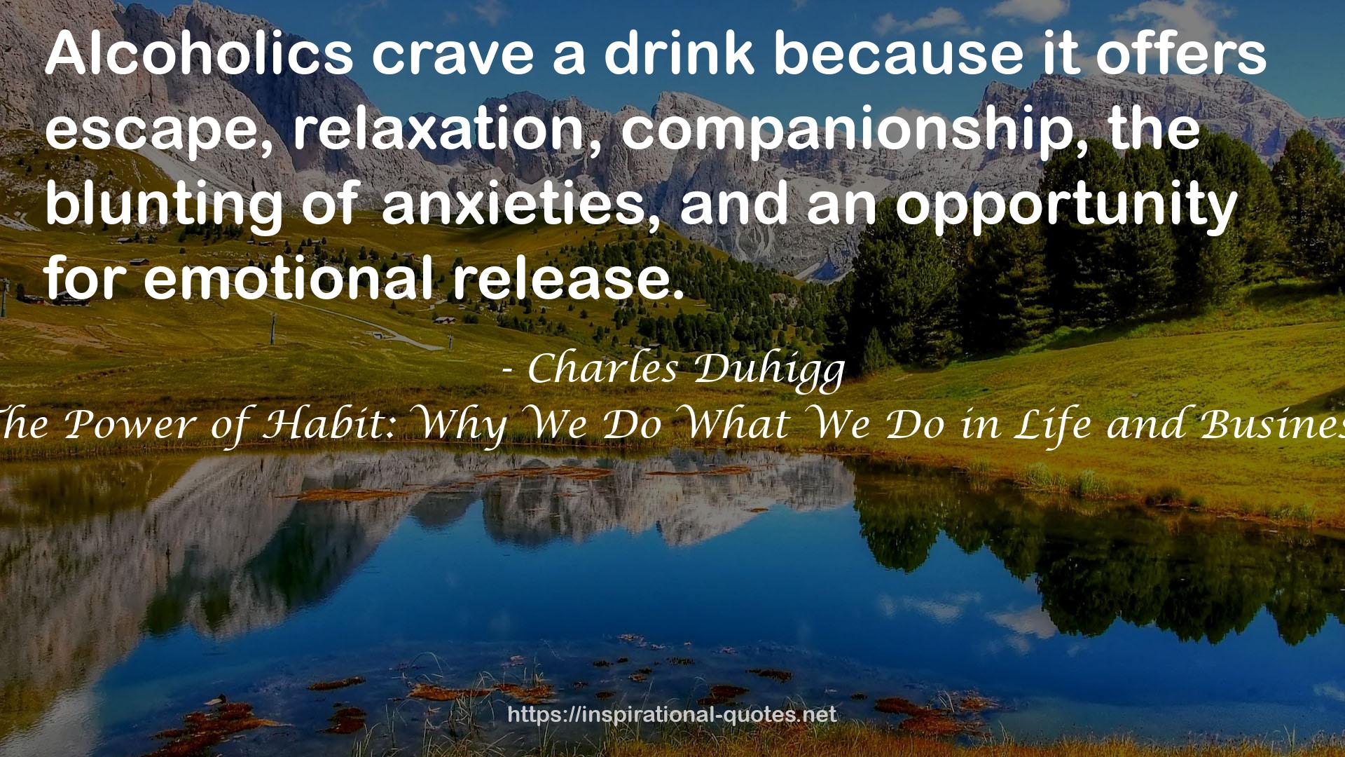 Charles Duhigg QUOTES