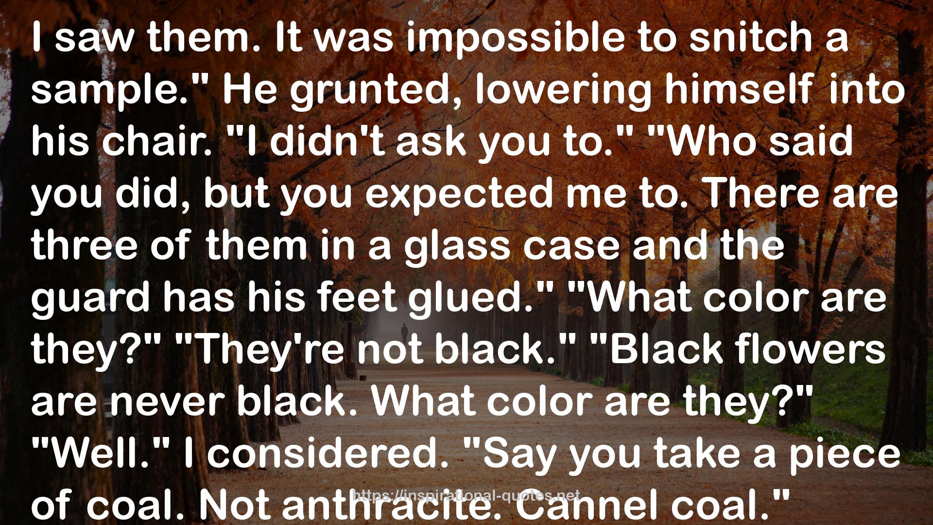 Black Orchids (Nero Wolfe, #9) QUOTES