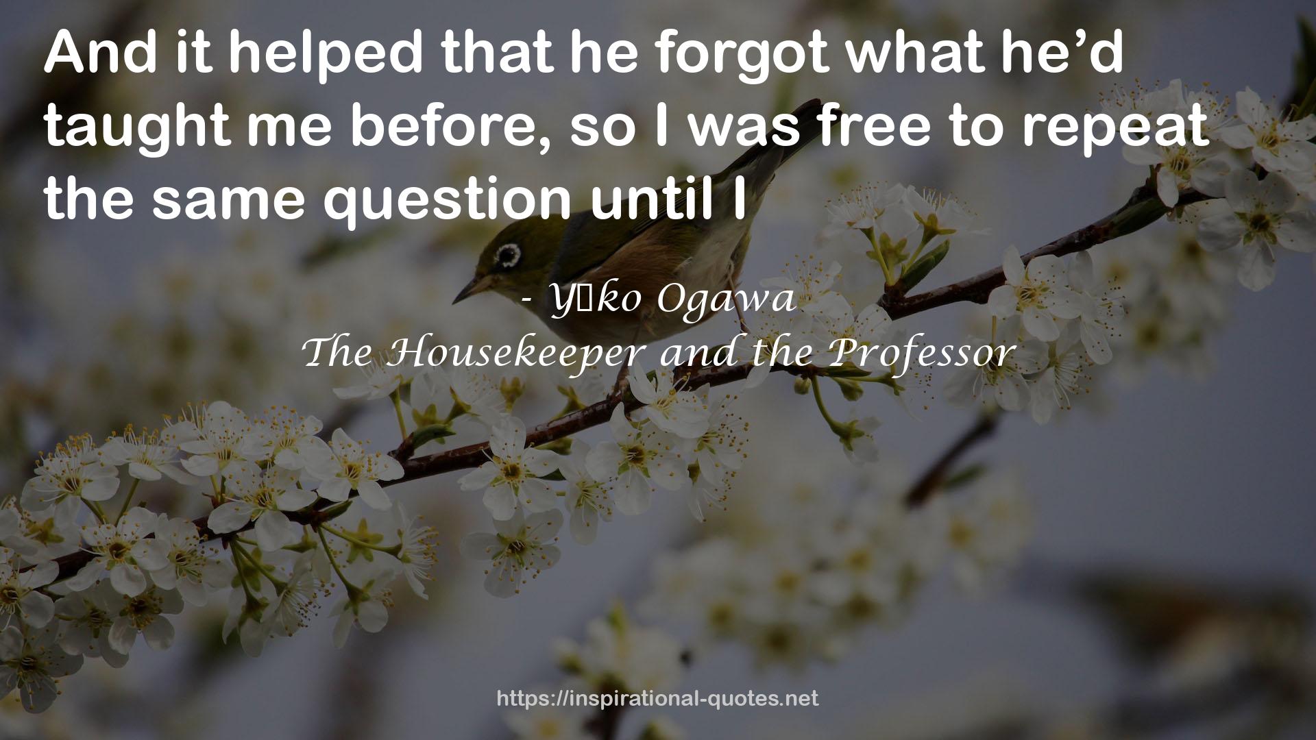 The Housekeeper and the Professor QUOTES