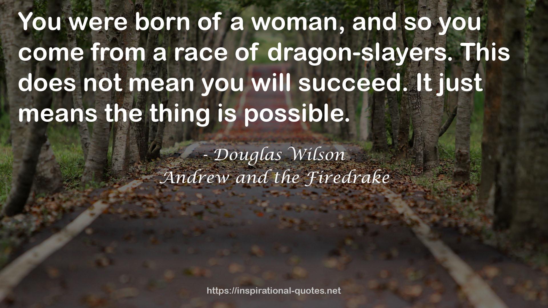 Andrew and the Firedrake QUOTES