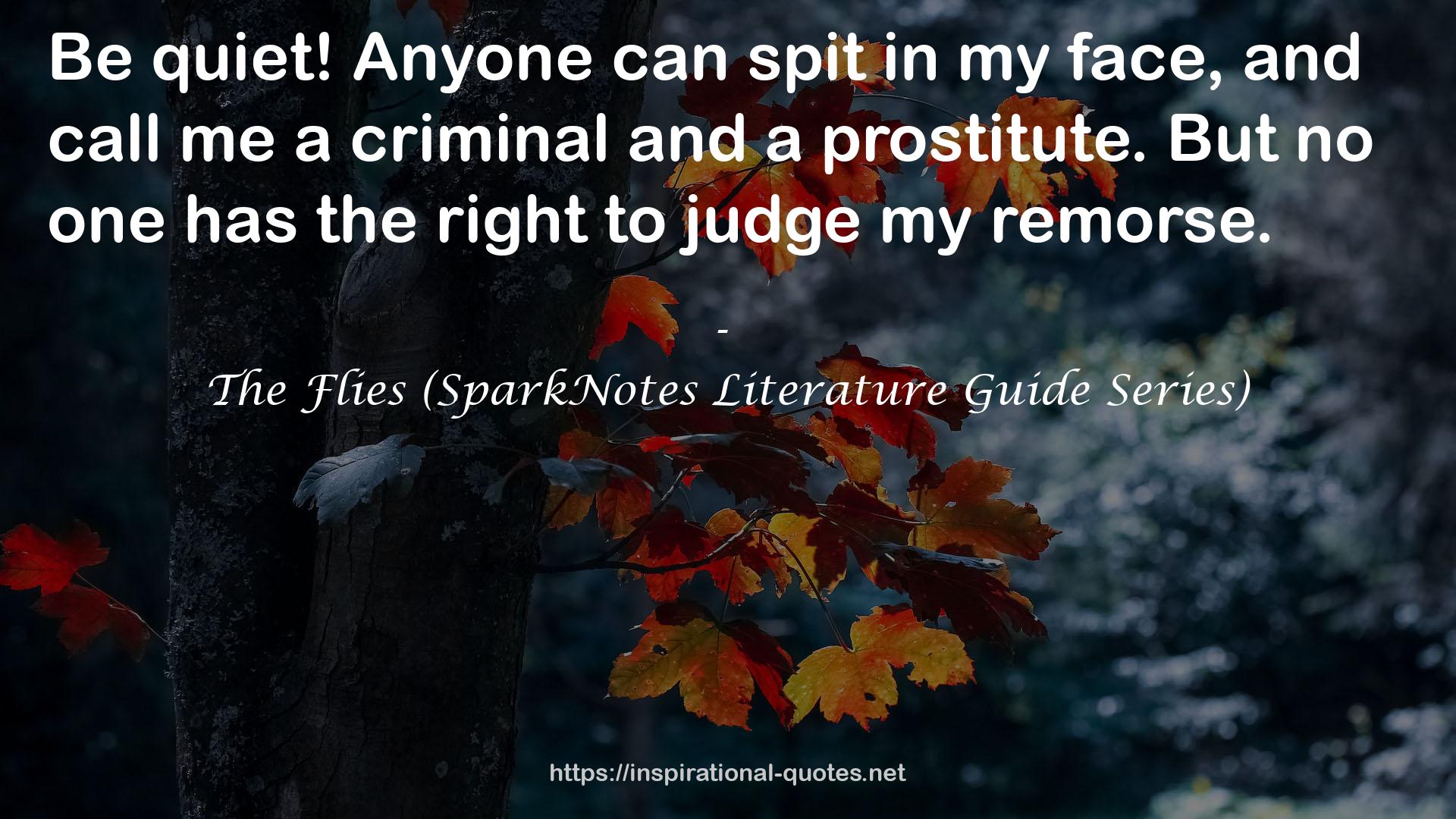 The Flies (SparkNotes Literature Guide Series) QUOTES