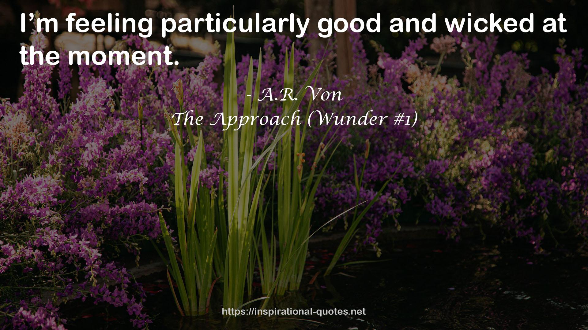 The Approach (Wunder #1) QUOTES