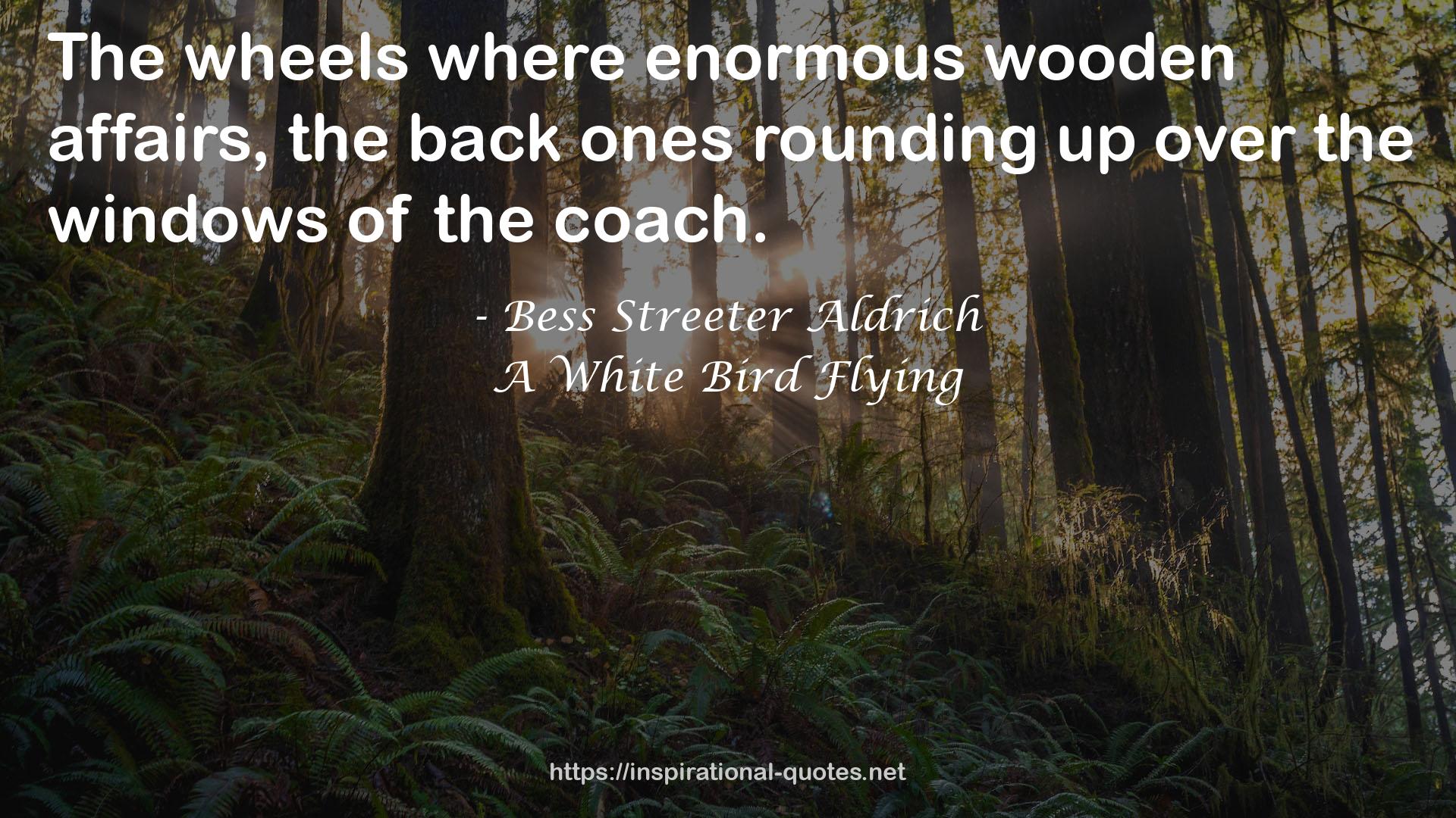 A White Bird Flying QUOTES