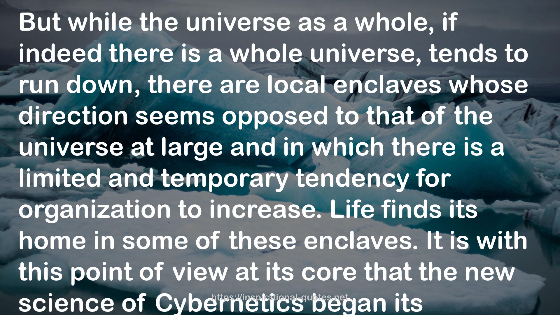 The Human Use of Human Beings: Cybernetics and Society QUOTES