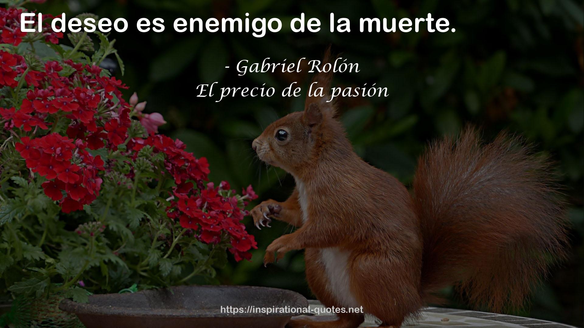 Gabriel Rolón QUOTES