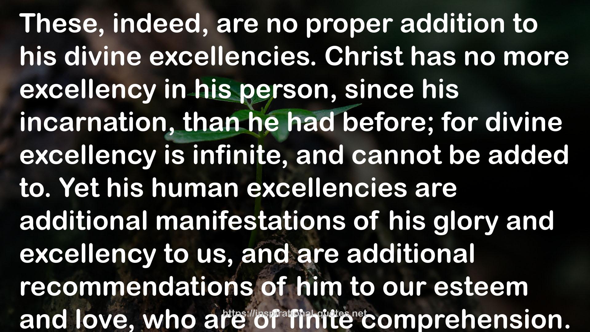 The Excellency of Christ QUOTES