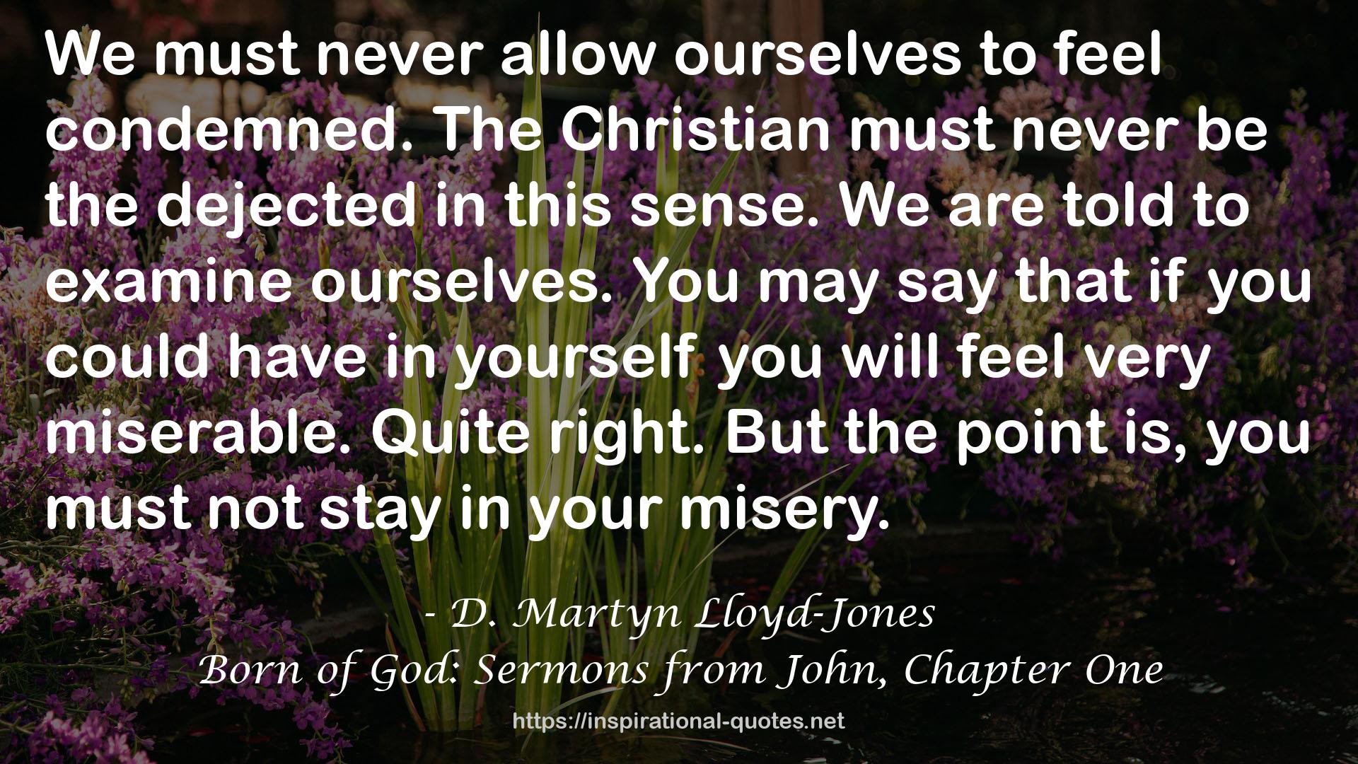 Born of God: Sermons from John, Chapter One QUOTES