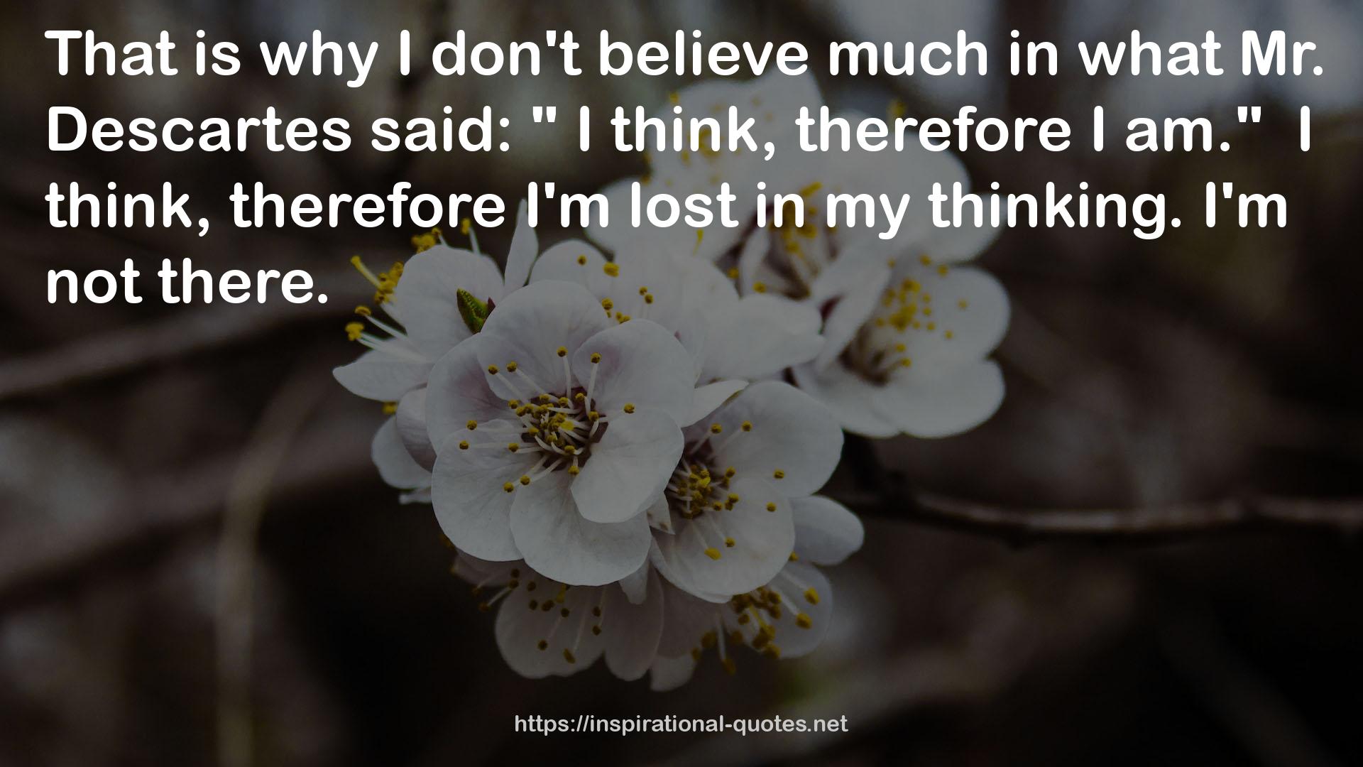 Mr. Descartes  QUOTES