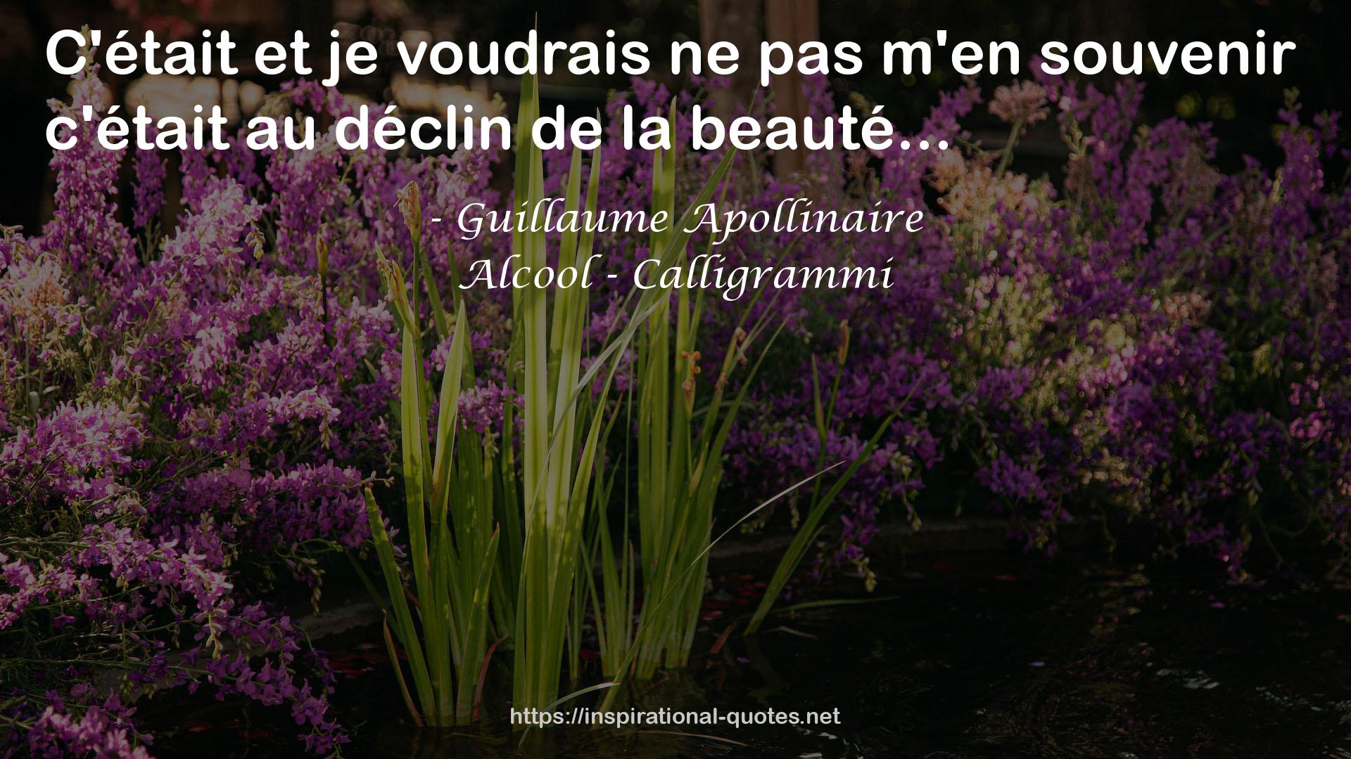 Alcool - Calligrammi QUOTES