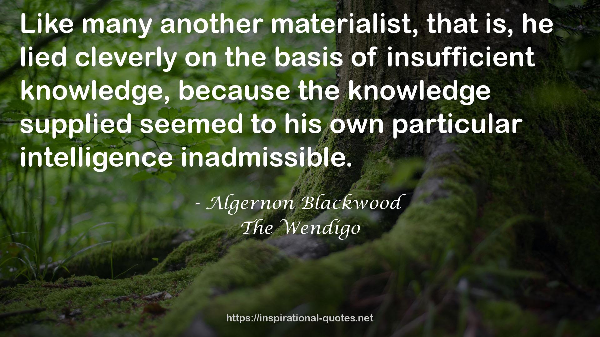 Algernon Blackwood QUOTES