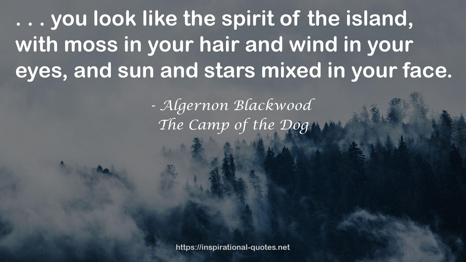 The Camp of the Dog QUOTES