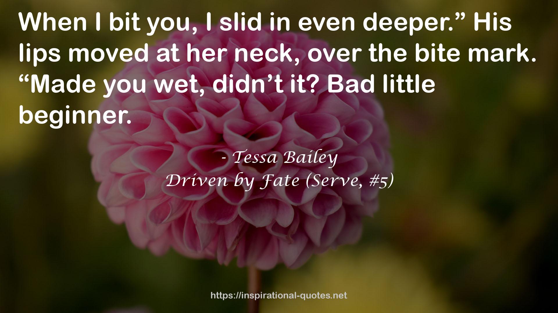 Driven by Fate (Serve, #5) QUOTES