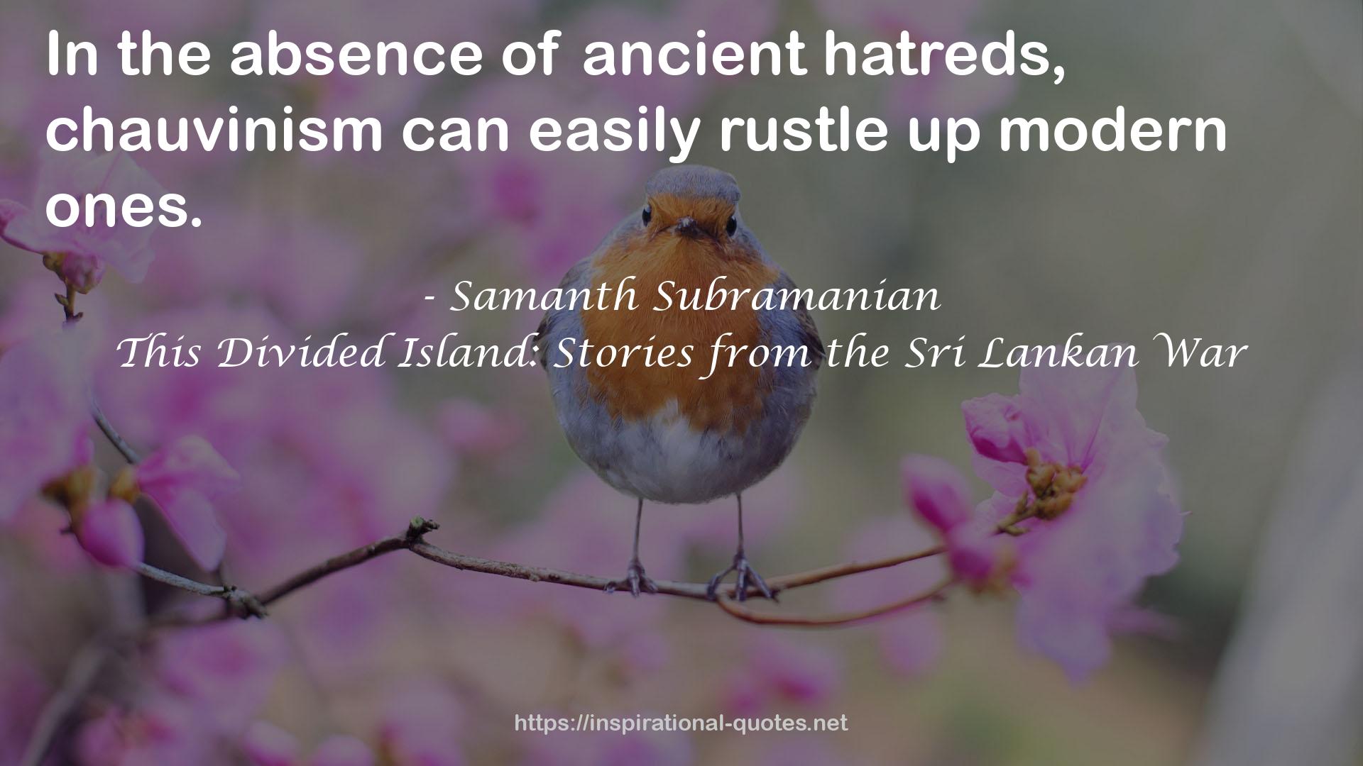 This Divided Island: Stories from the Sri Lankan War QUOTES