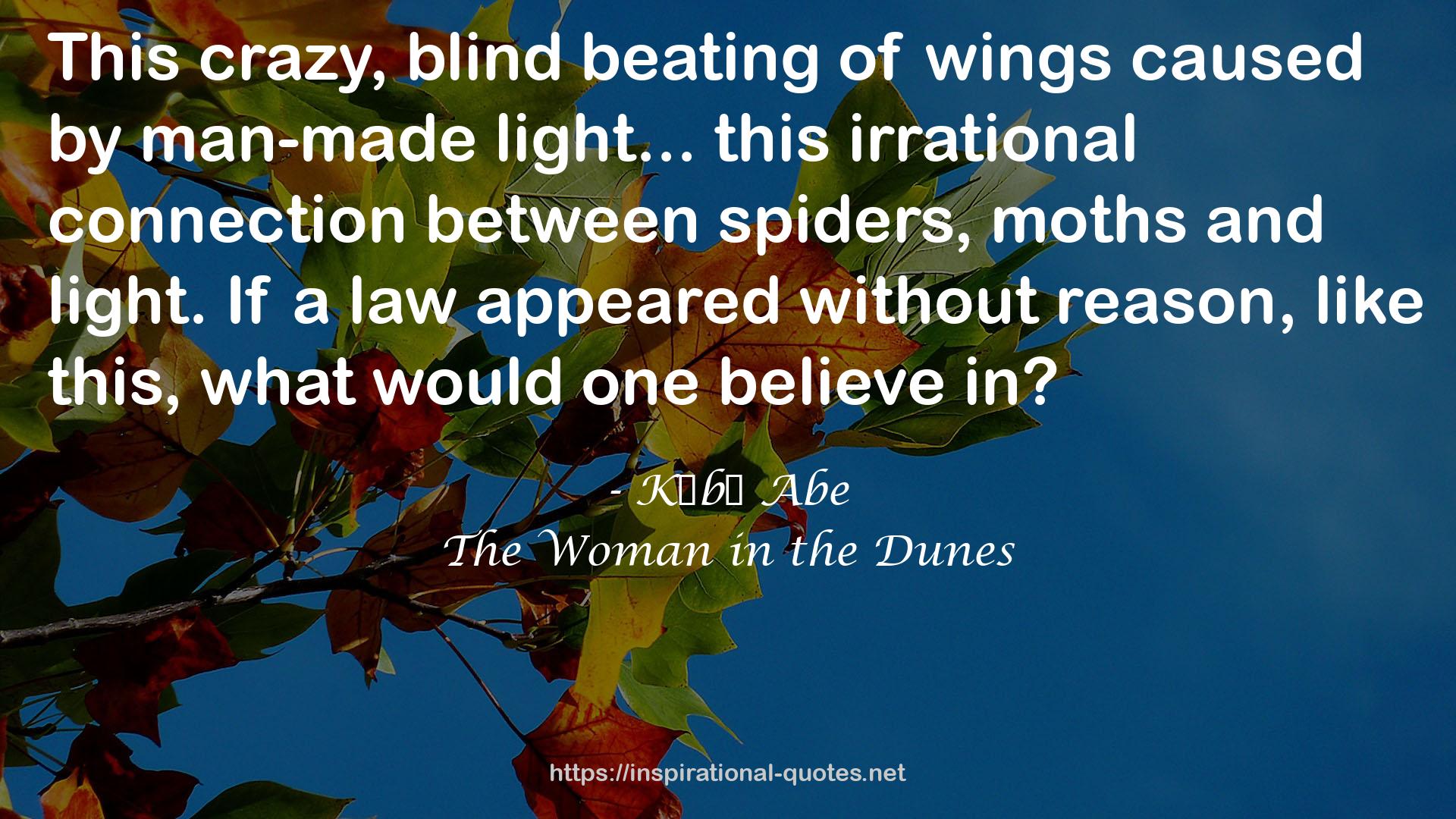 The Woman in the Dunes QUOTES