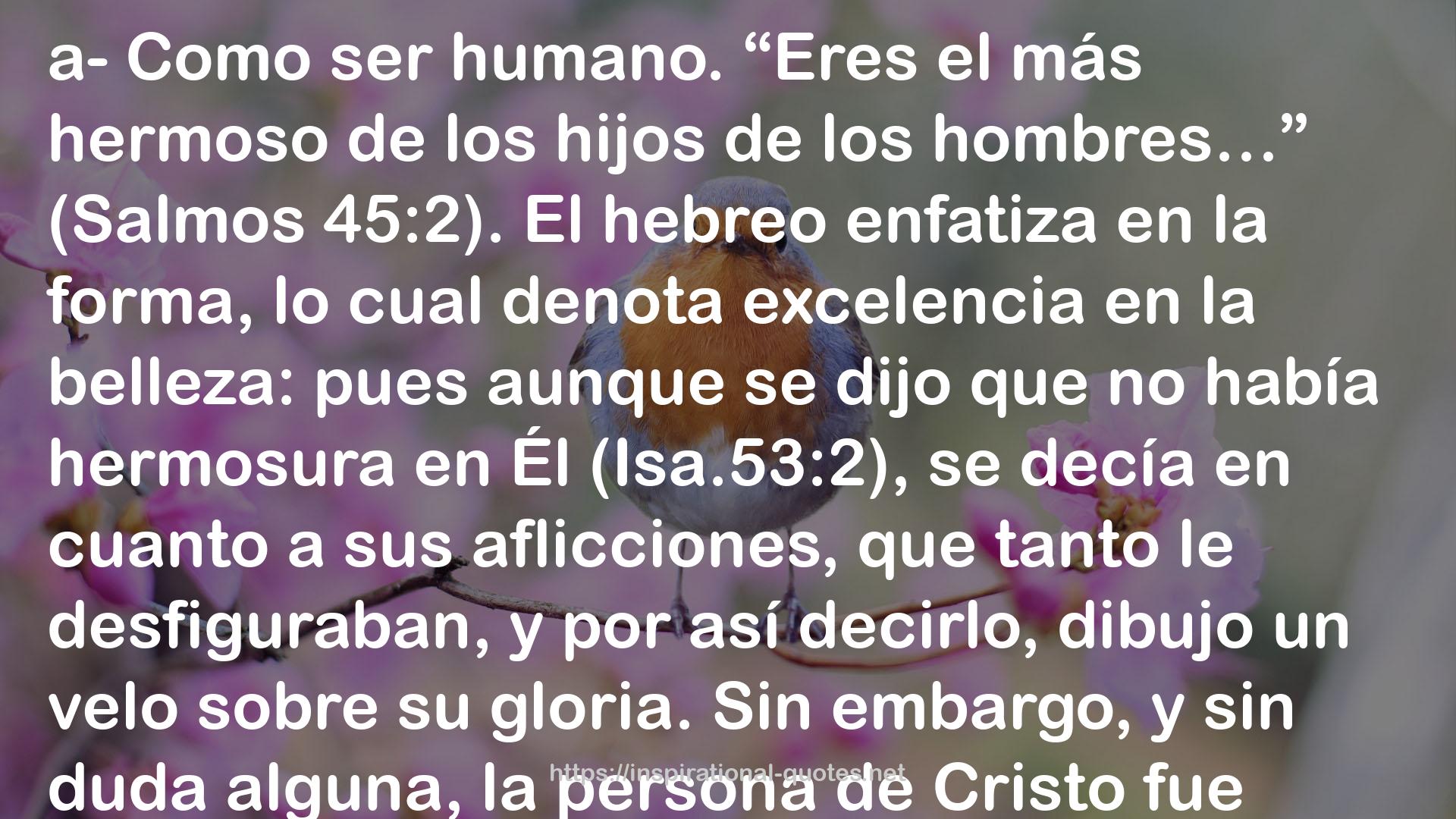 La hermosura de cristo QUOTES