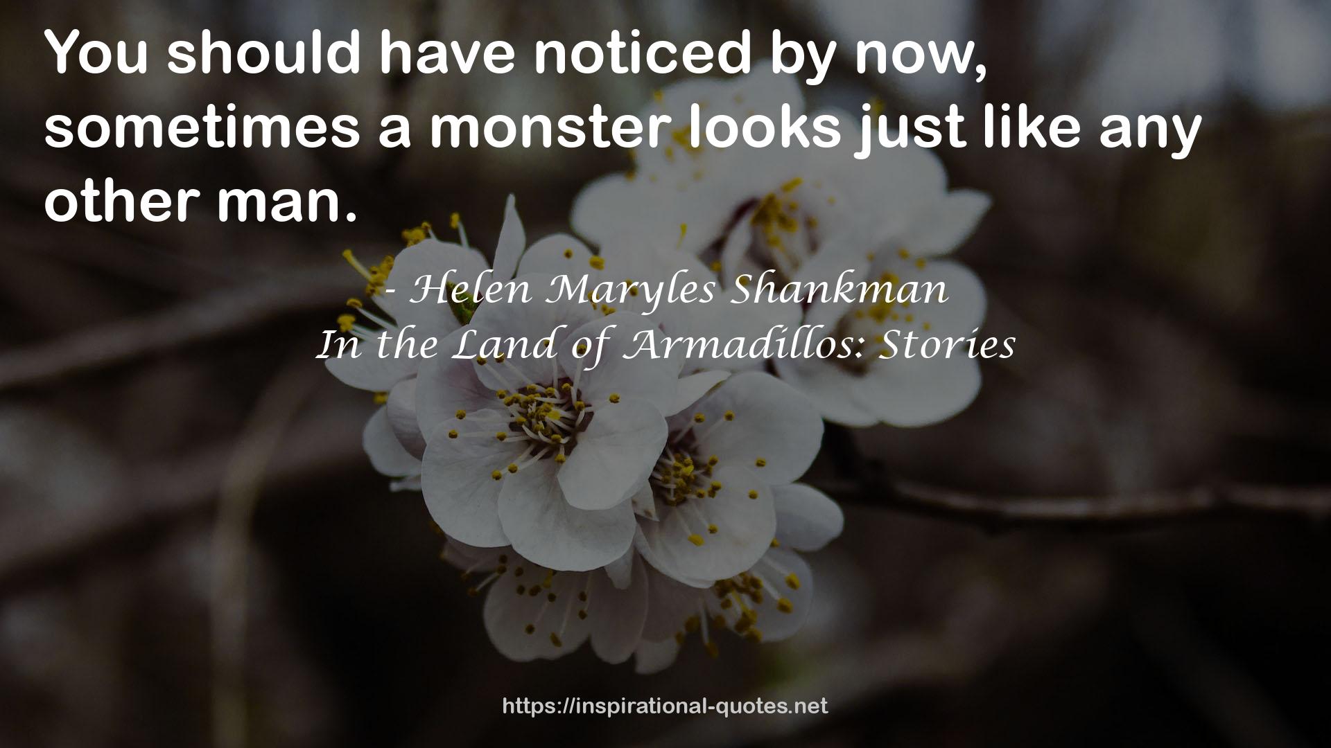 In the Land of Armadillos: Stories QUOTES