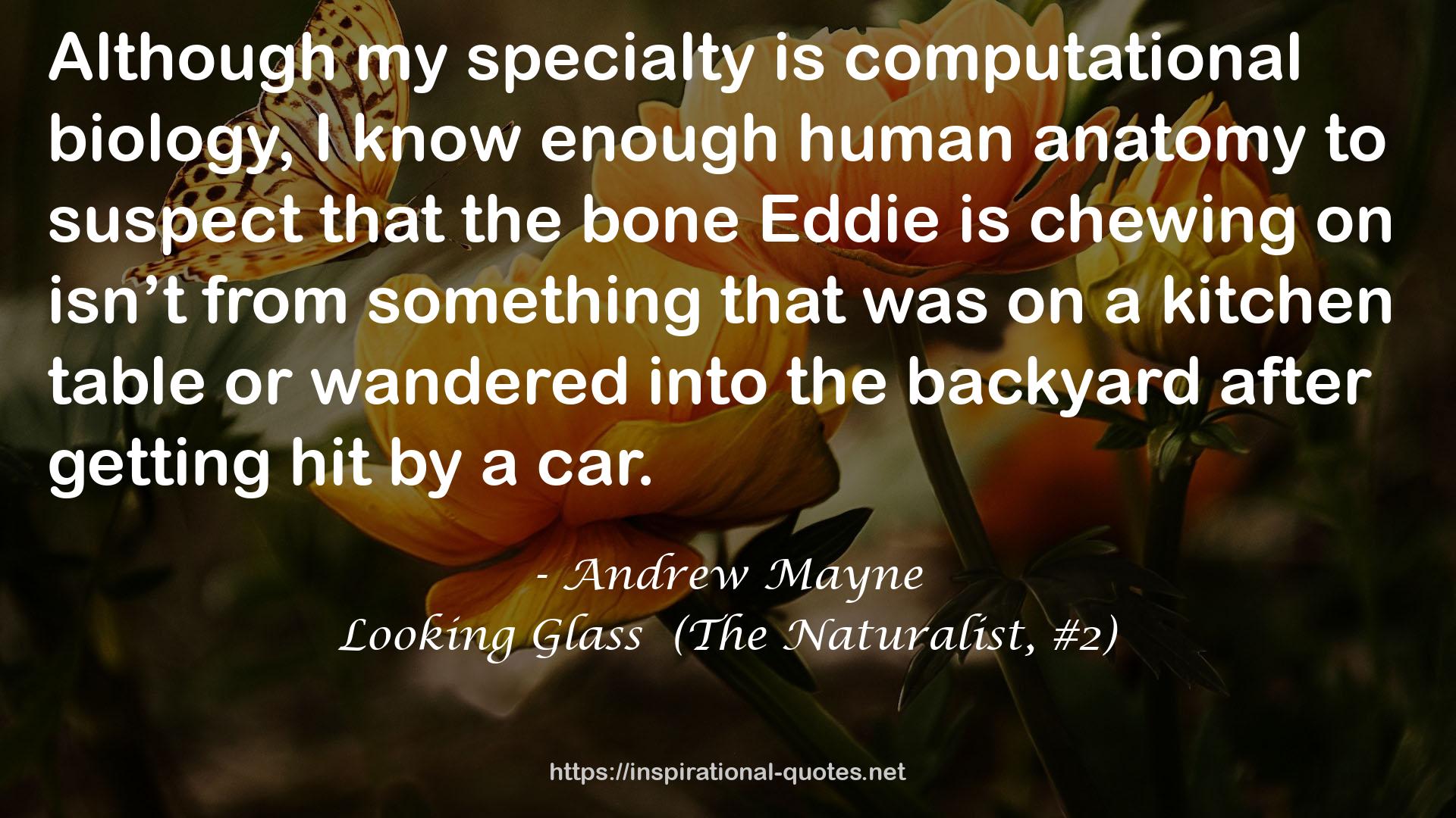 Looking Glass  (The Naturalist, #2) QUOTES