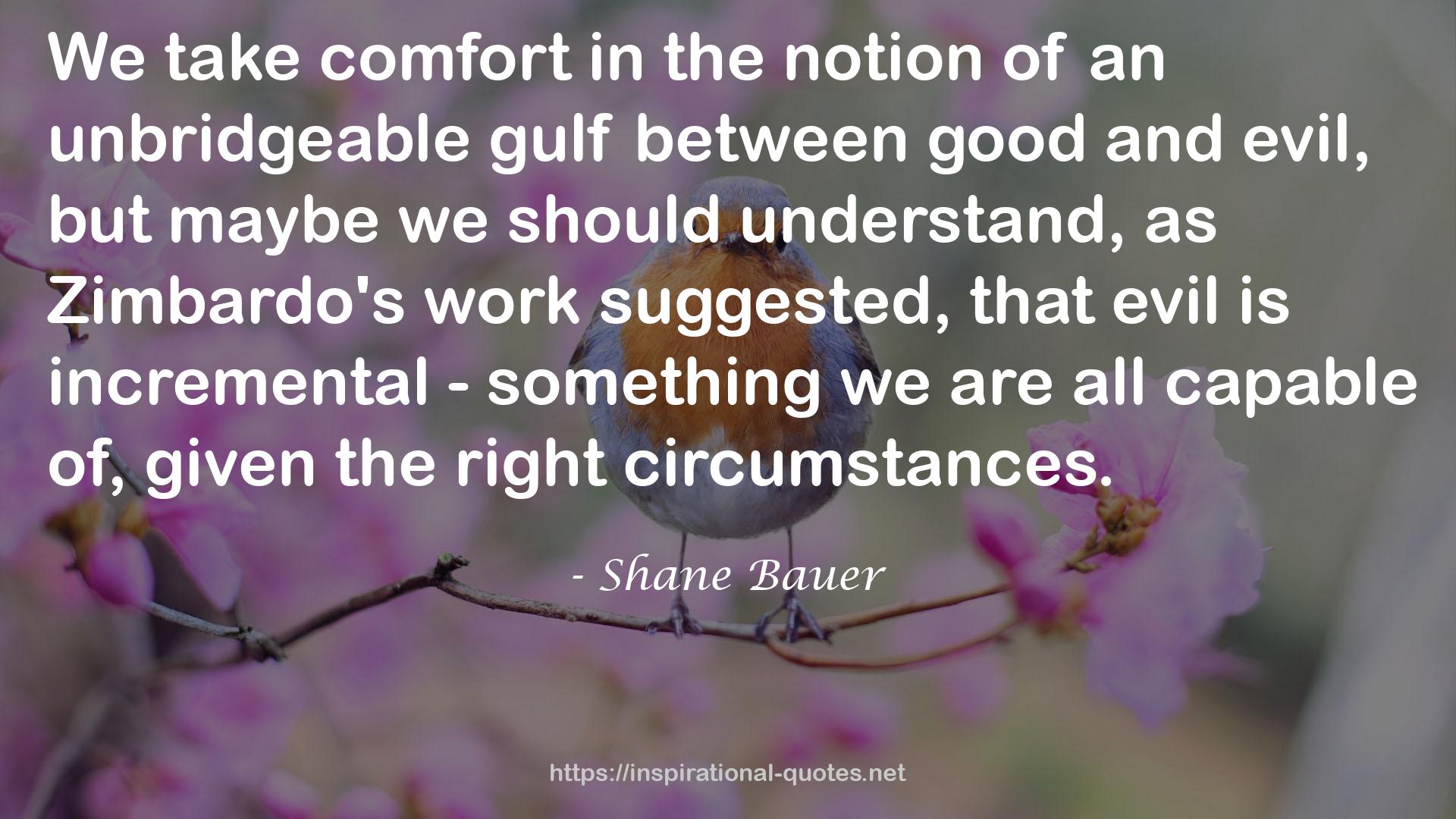 Shane Bauer QUOTES