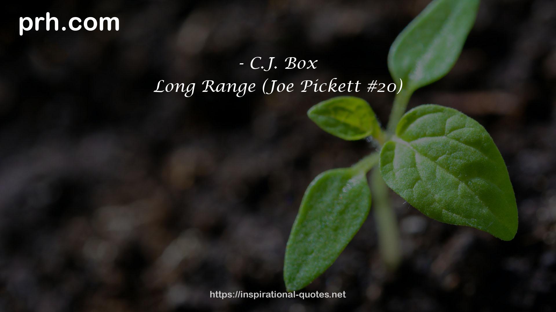 Long Range (Joe Pickett #20) QUOTES