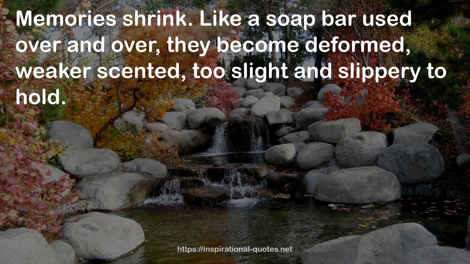 a soap bar  QUOTES