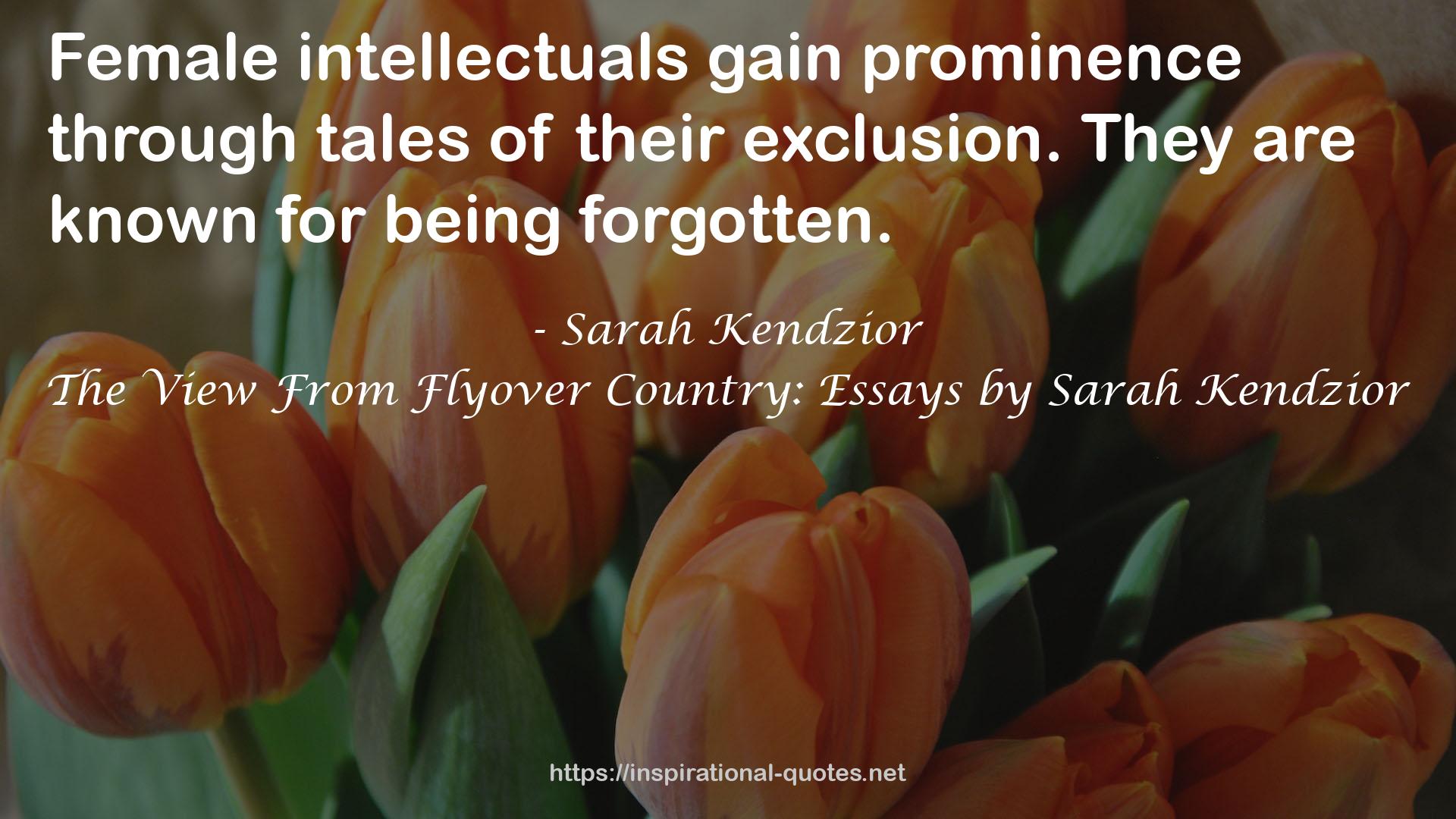 The View From Flyover Country: Essays by Sarah Kendzior QUOTES