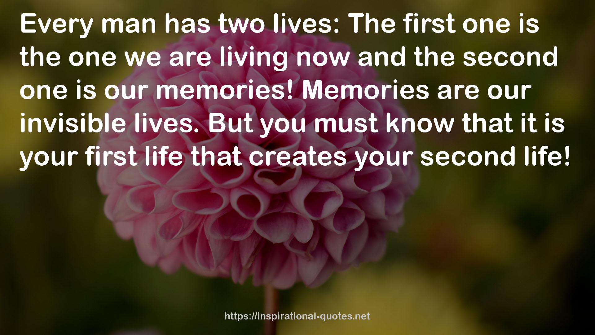 your first life  QUOTES