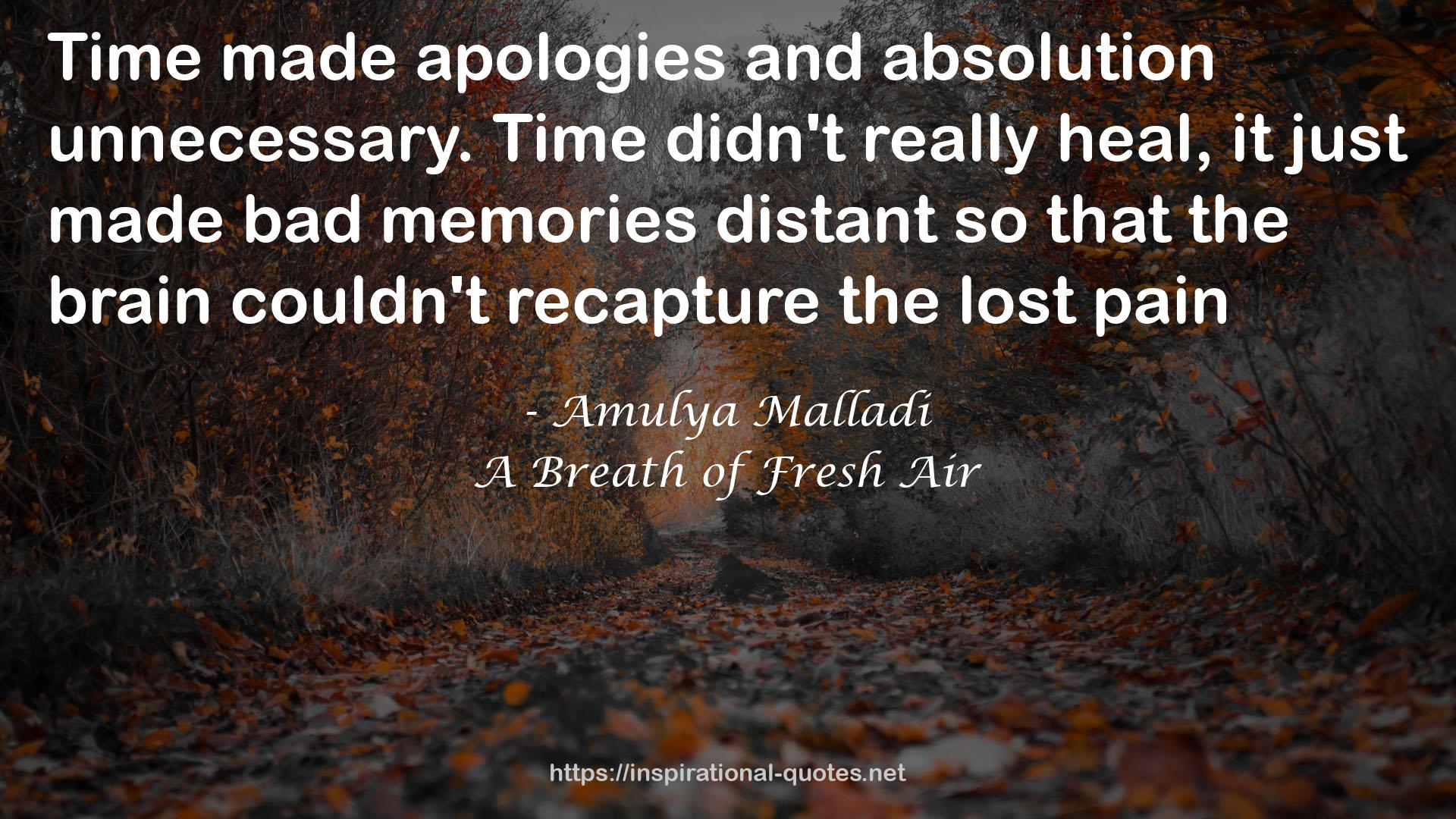 Amulya Malladi QUOTES