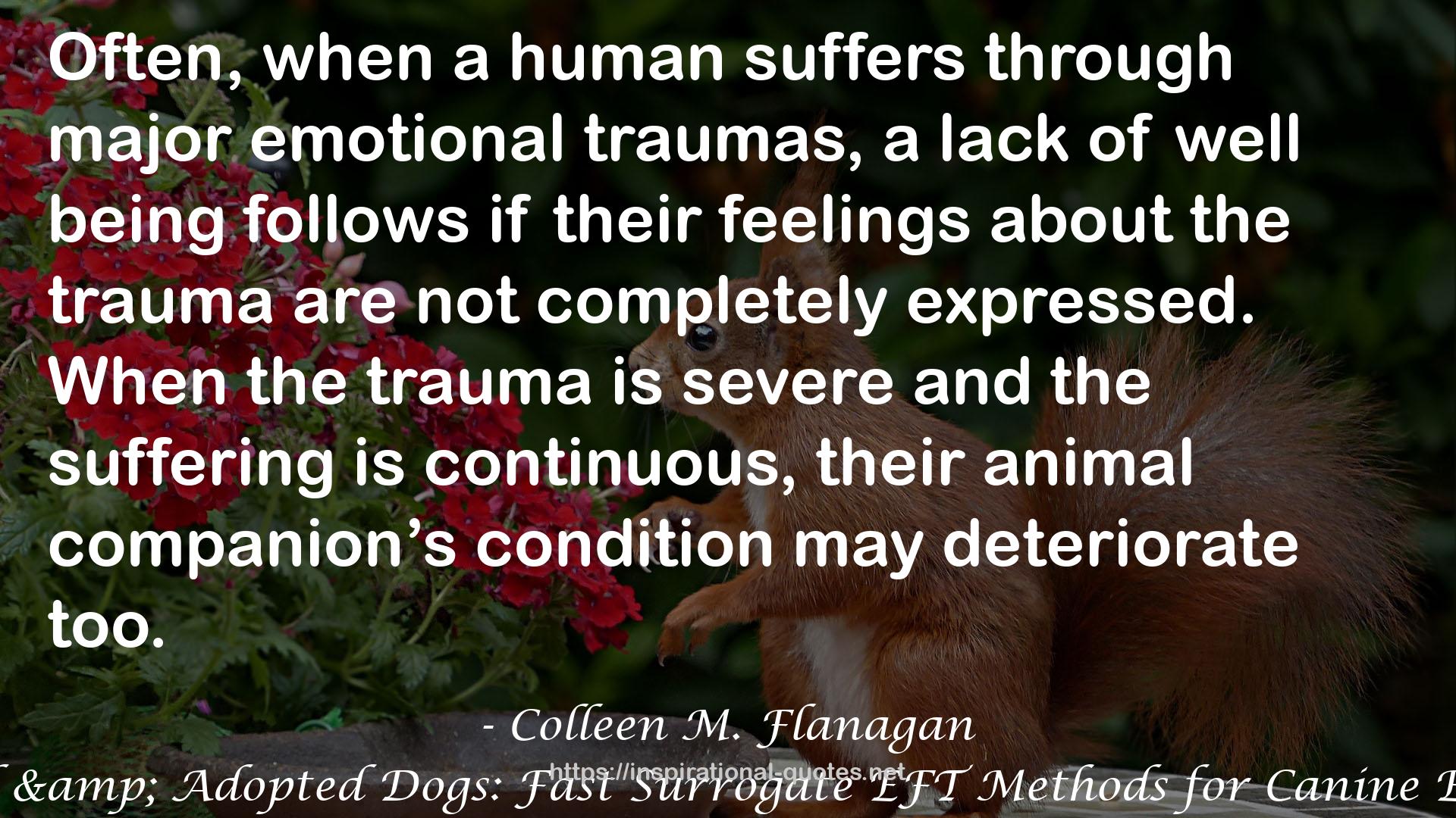 Colleen M. Flanagan QUOTES