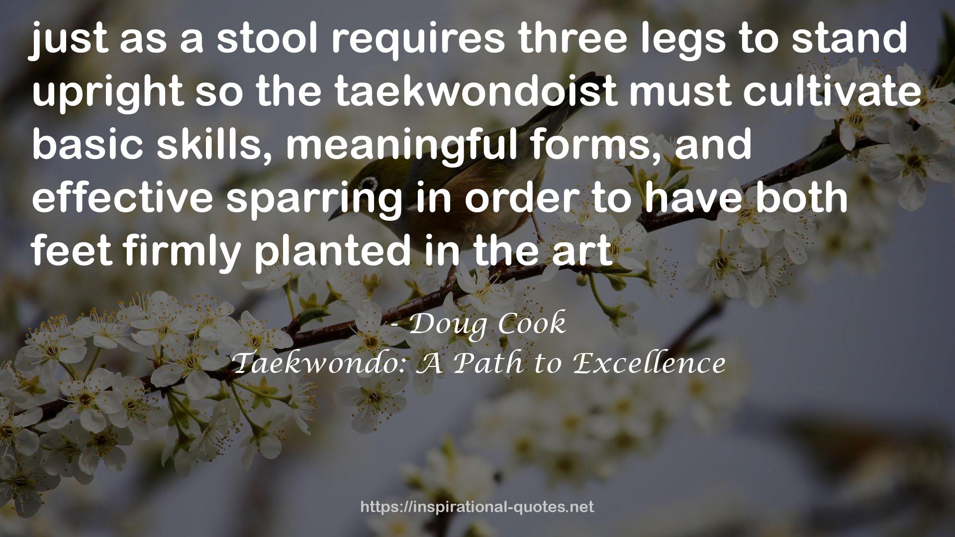 the taekwondoist  QUOTES