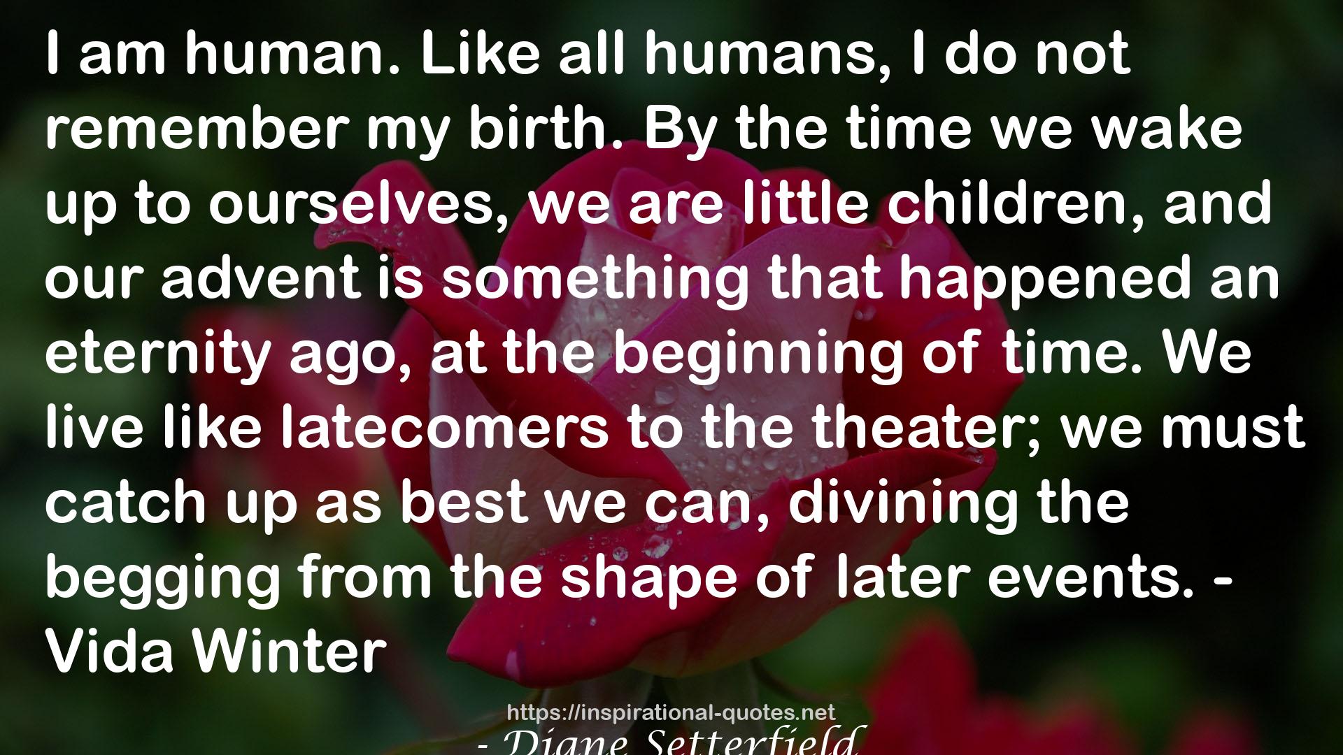 Diane Setterfield QUOTES