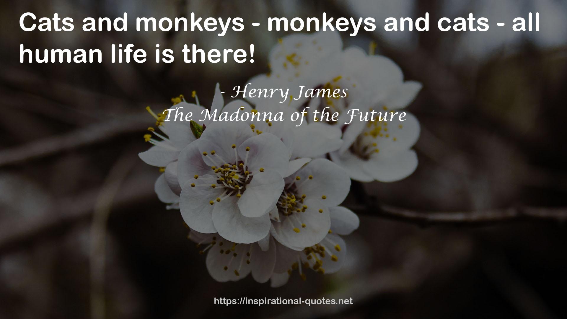 monkeys - monkeys  QUOTES