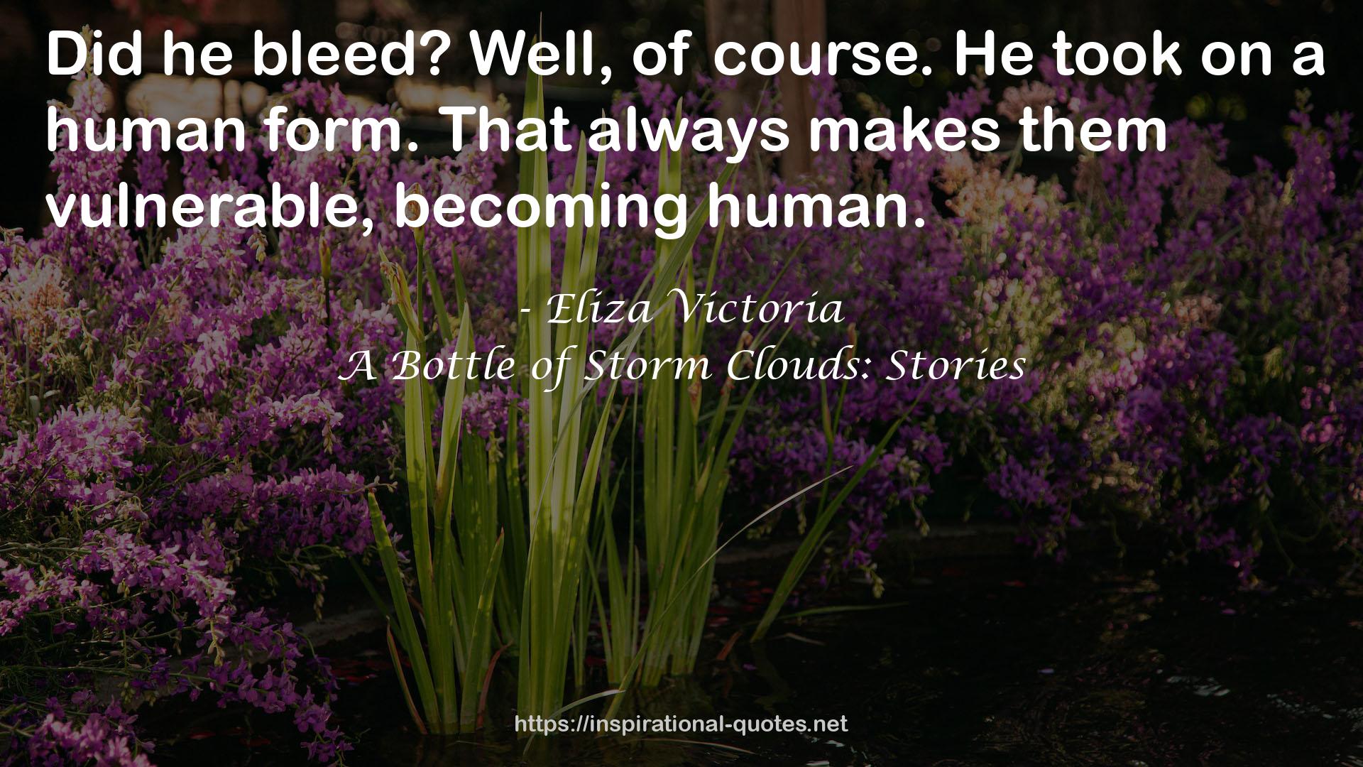A Bottle of Storm Clouds: Stories QUOTES