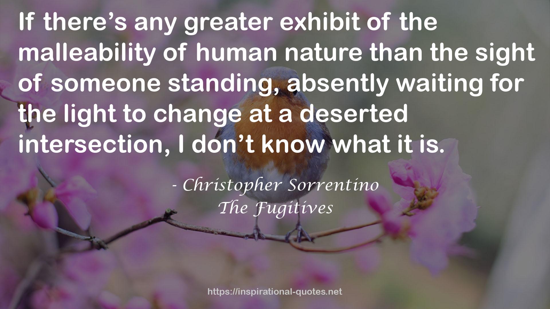 Christopher Sorrentino QUOTES