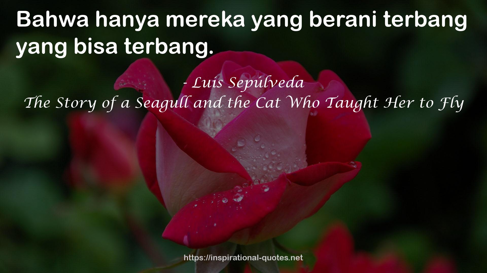 The Story of a Seagull and the Cat Who Taught Her to Fly QUOTES