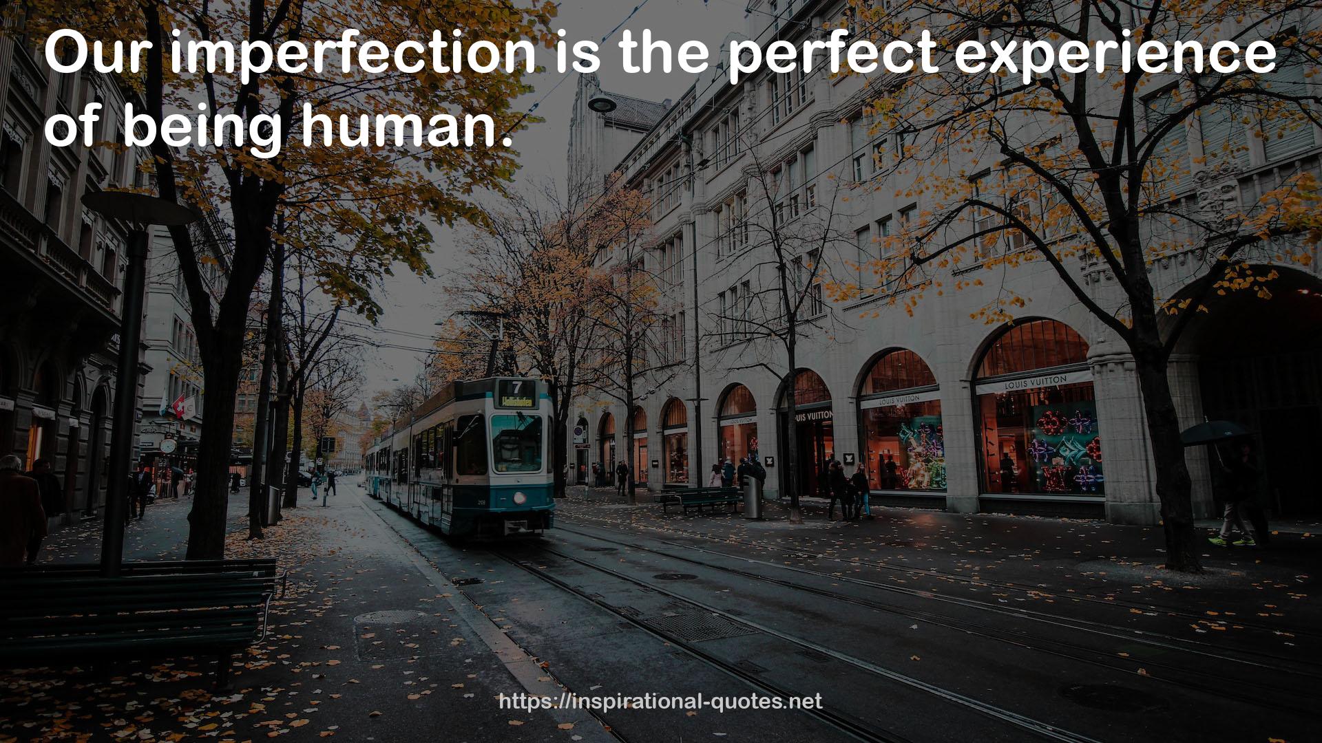 the perfect experience  QUOTES