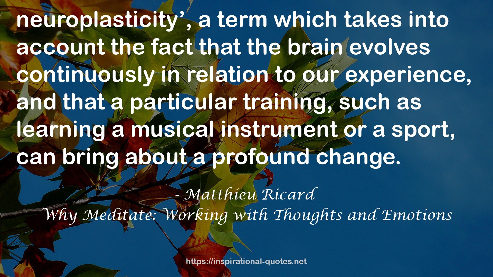 Why Meditate: Working with Thoughts and Emotions QUOTES