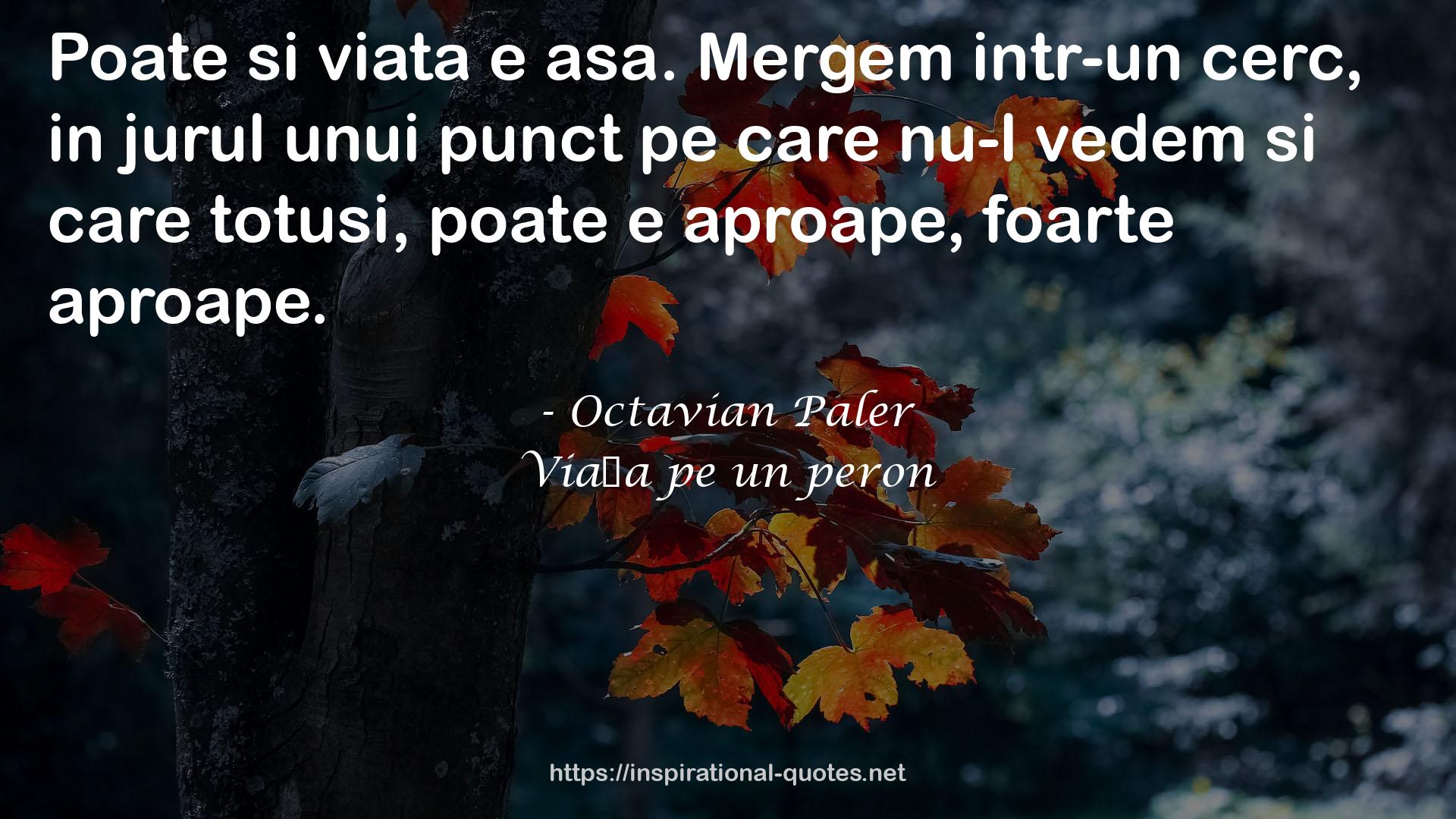 Octavian Paler QUOTES