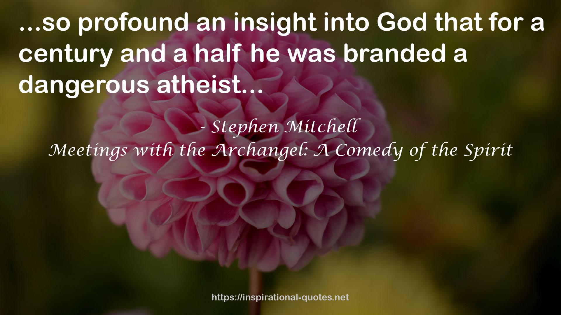 Meetings with the Archangel: A Comedy of the Spirit QUOTES