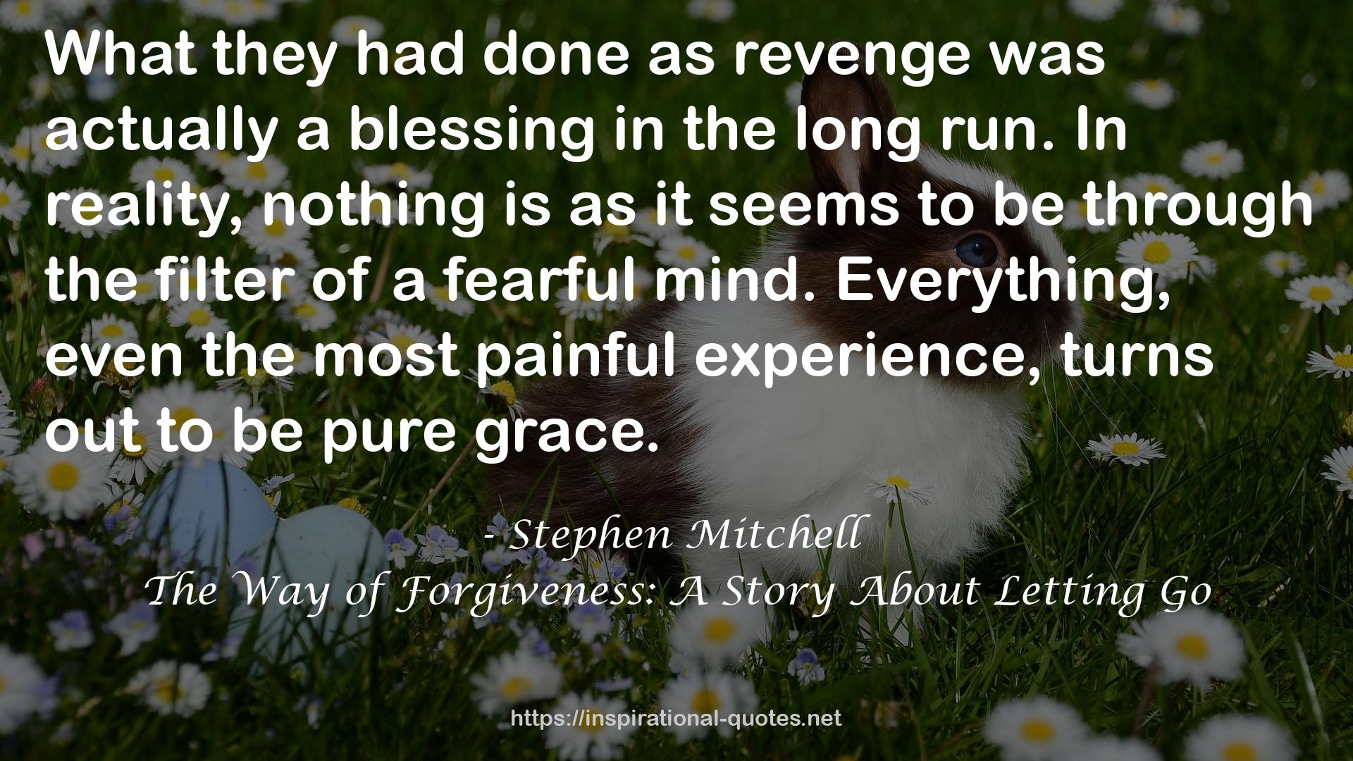 The Way of Forgiveness: A Story About Letting Go QUOTES