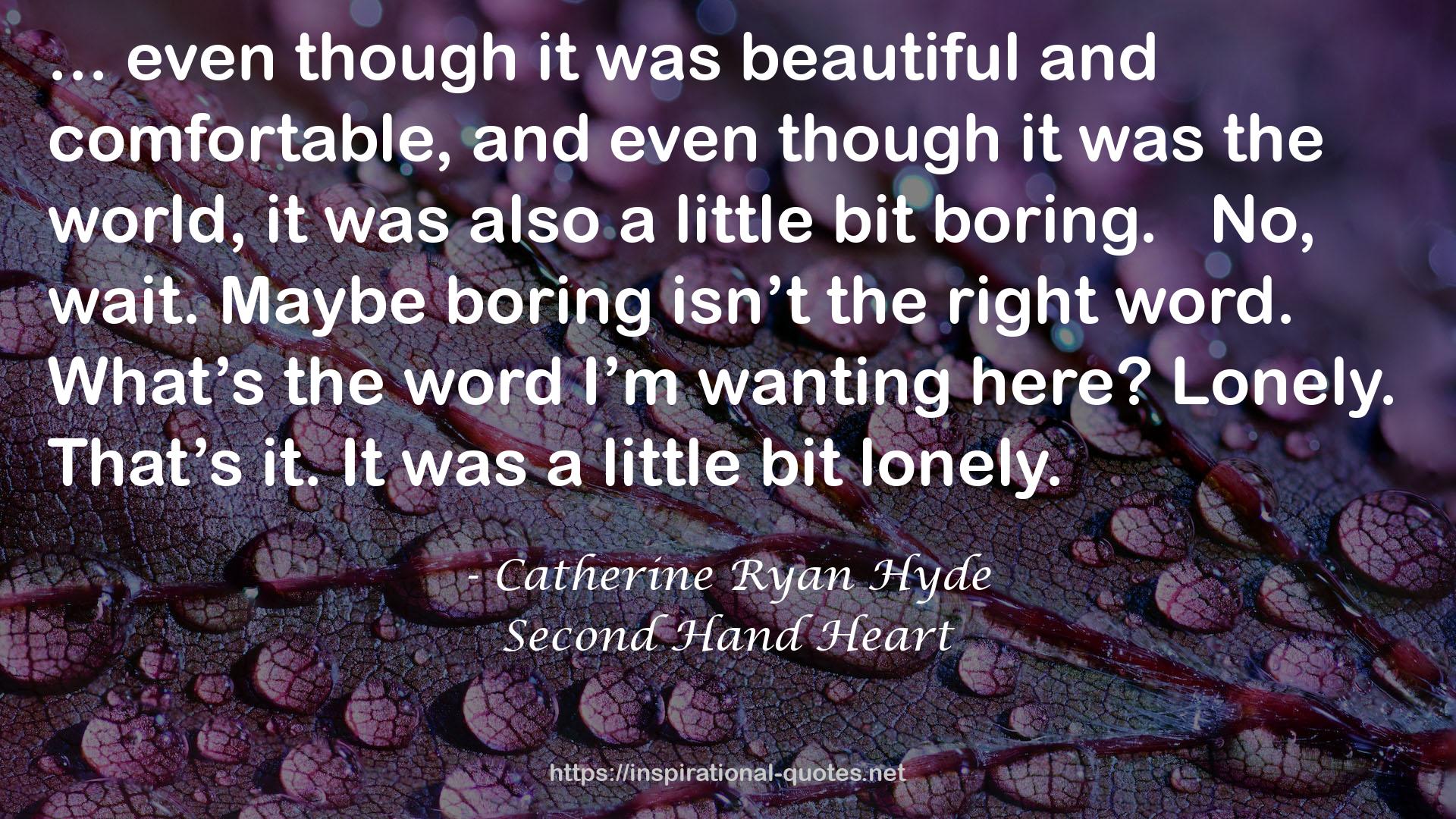 Second Hand Heart QUOTES